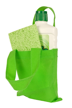 Green bag with cleaning products inside.